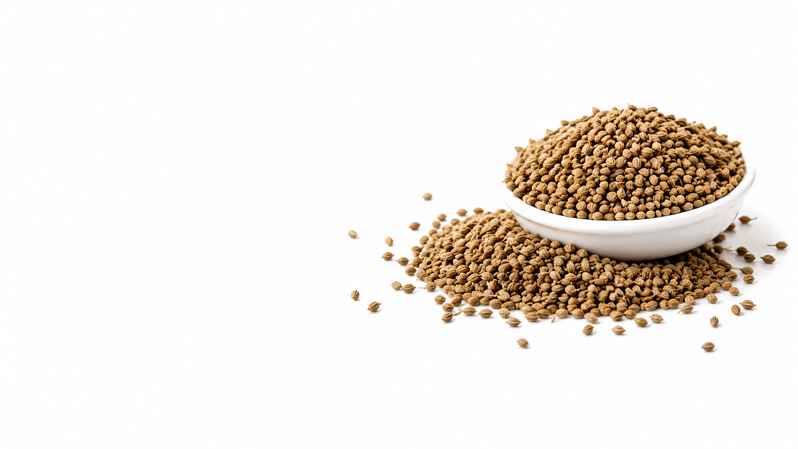 Celery Seed