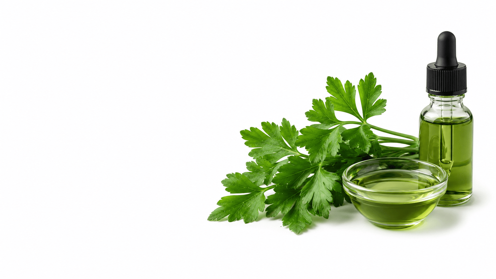 Parsley Extract